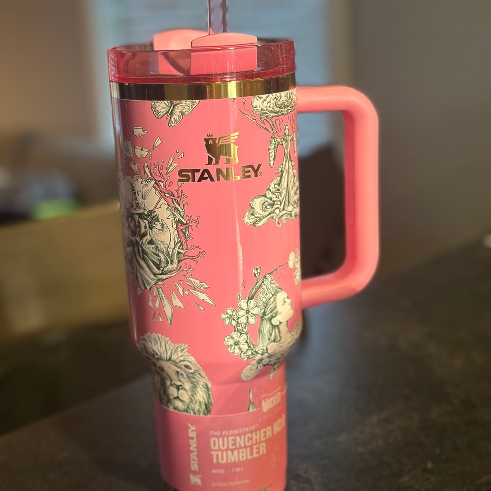 💖 Stanley x Wicked “Ozian Reprise” 40 oz Quencher H2.0 FlowState Tumbler 💖